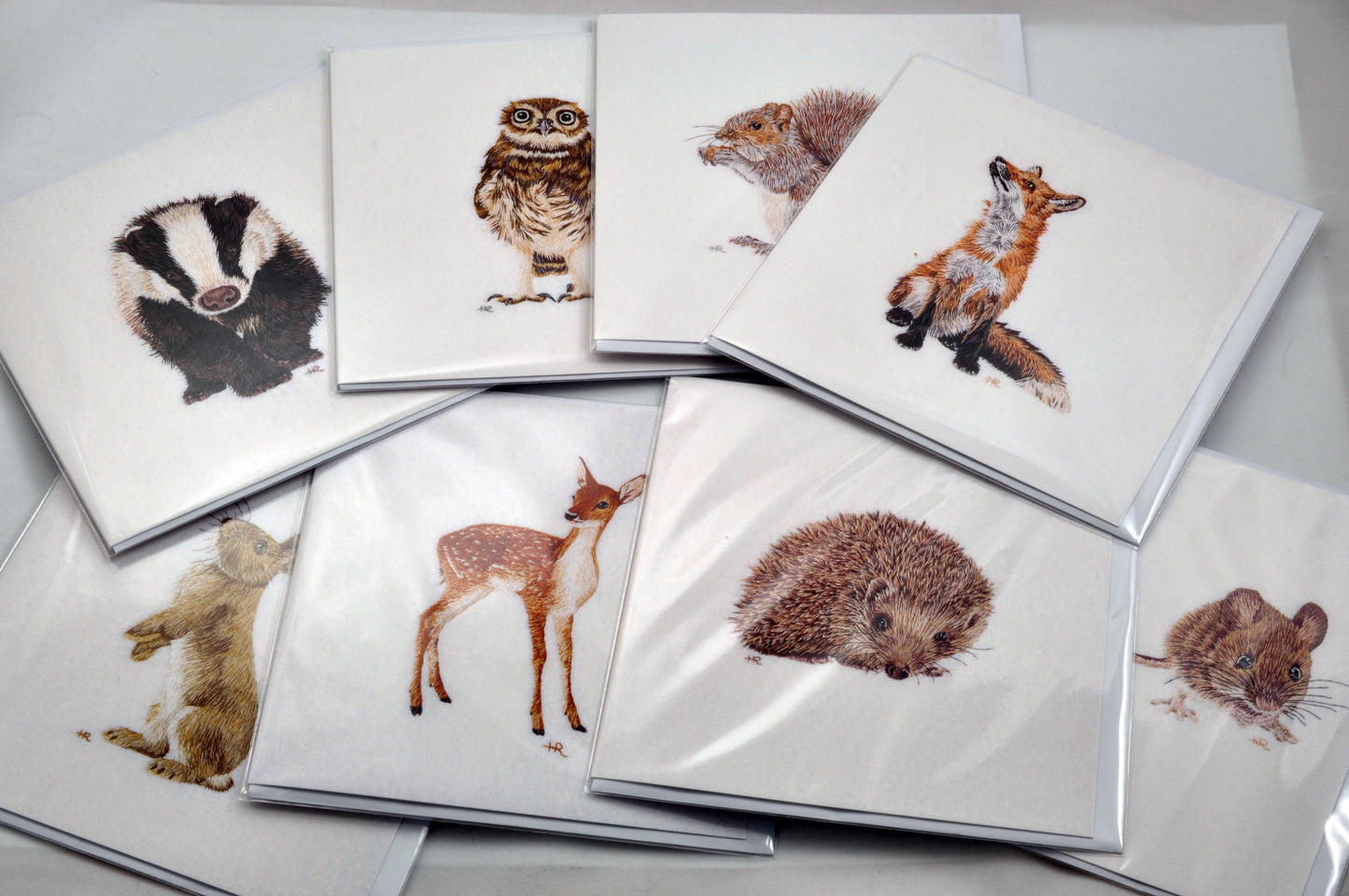 Grey Squirrel Prints and Cards