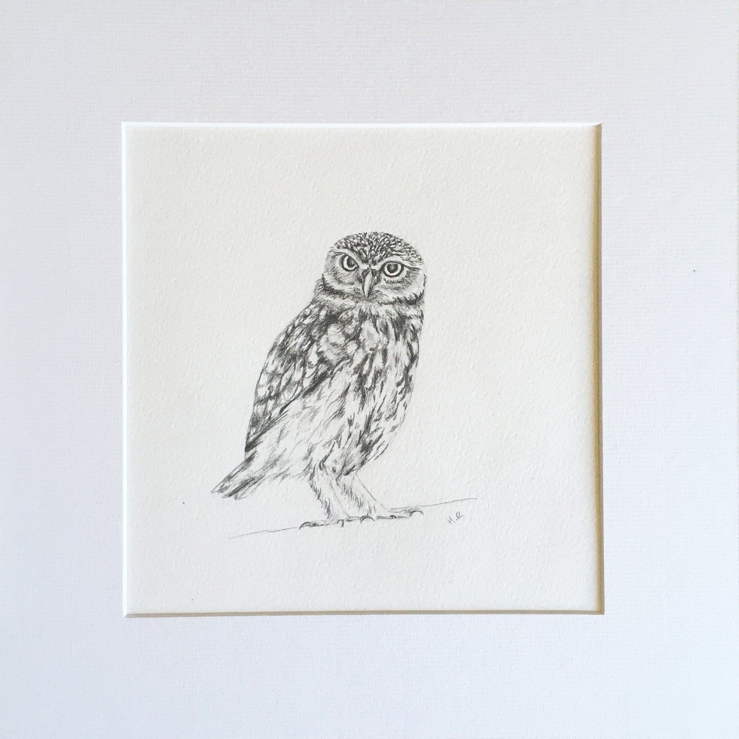 Little Owl Pencil Sketch