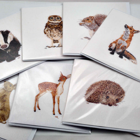 Prints and Greetings Cards