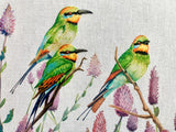 Silk Shading Rainbow Bee Eaters