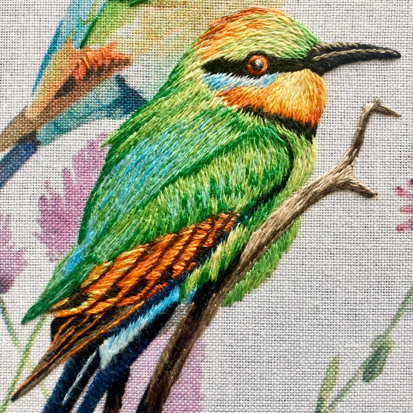 Silk Shading Rainbow Bee Eaters