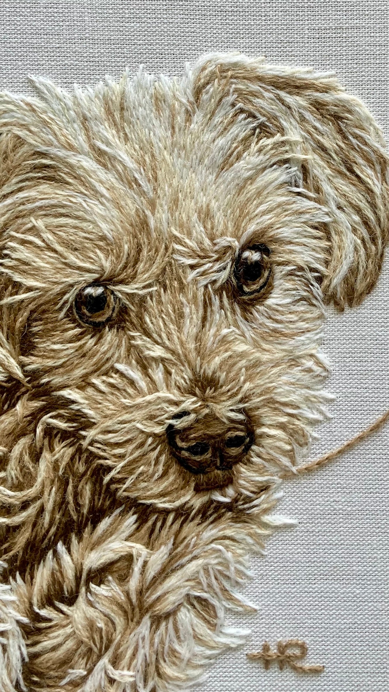 Pet Portrait: Crewel Wool Needle Painting