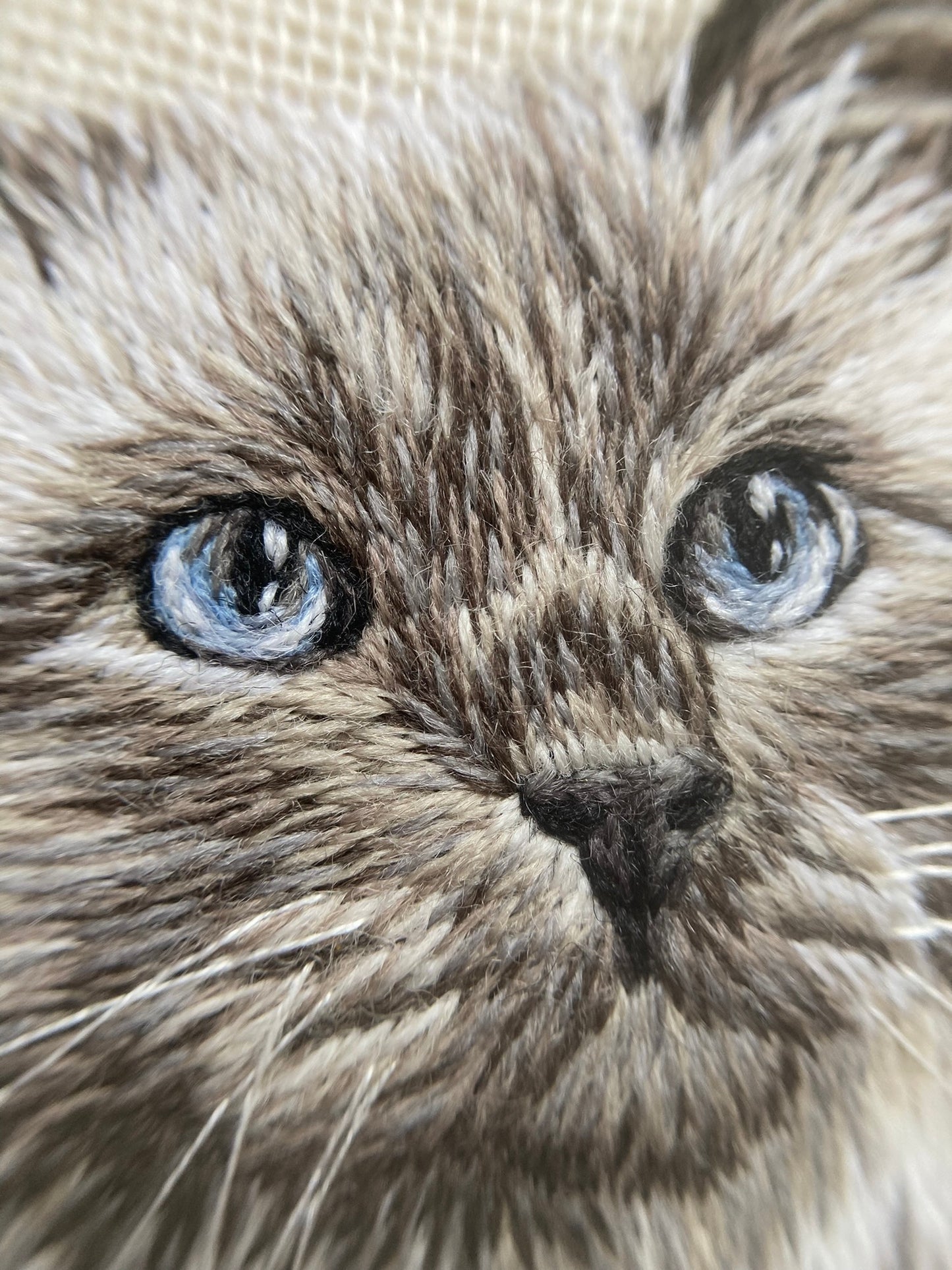 Pet Portrait: Crewel Wool Needle Painting
