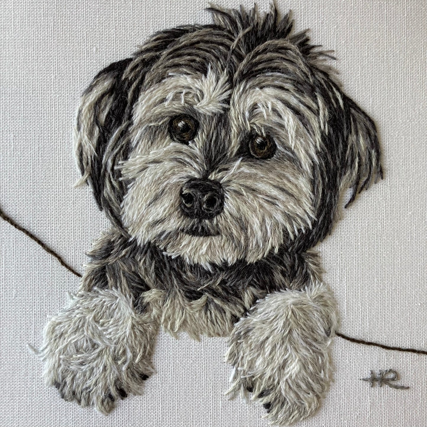 Pet Portrait: Crewel Wool Needle Painting