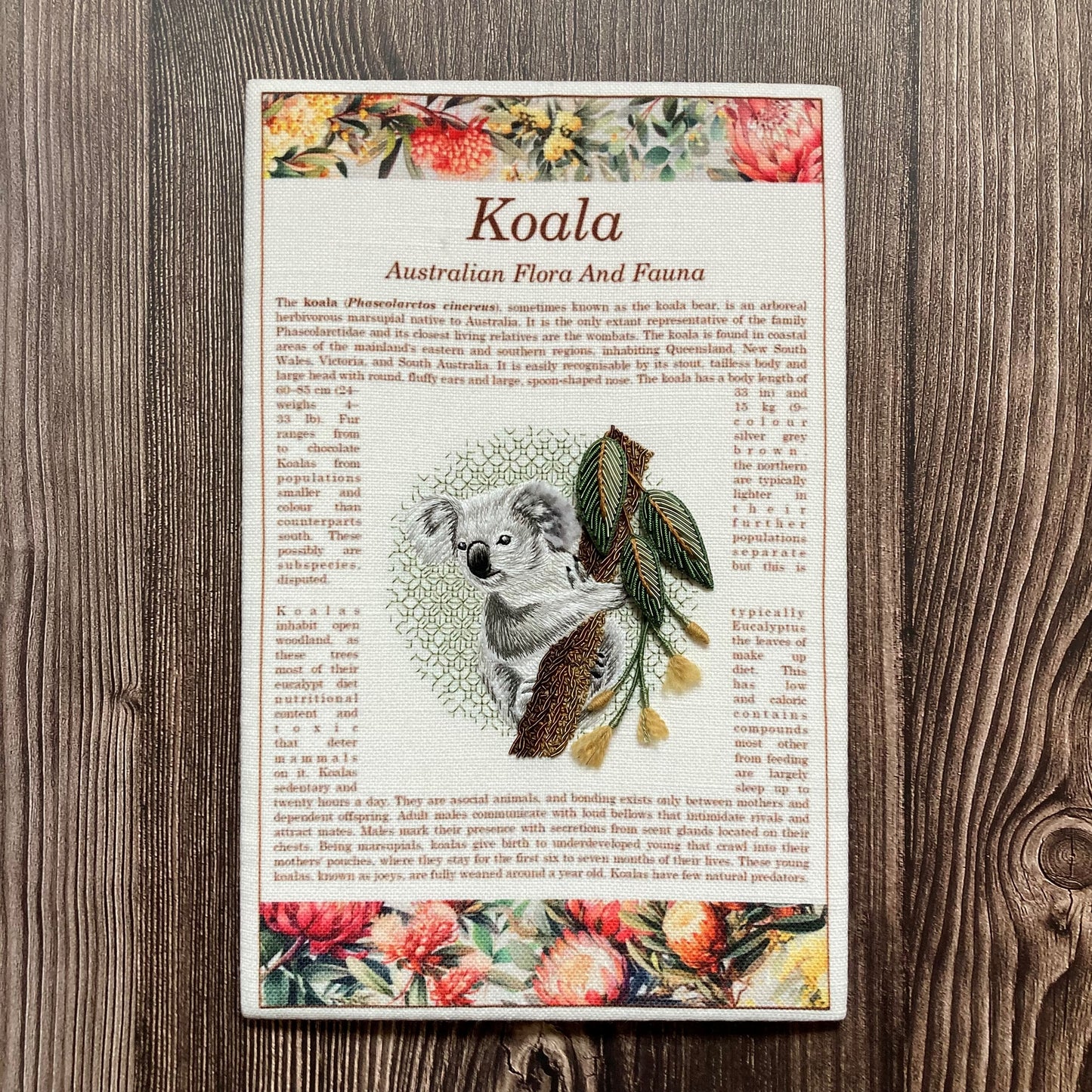 Koala In The Eucalyptus