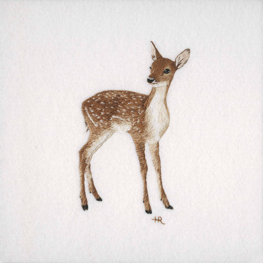 Fallow Deer Prints and Cards