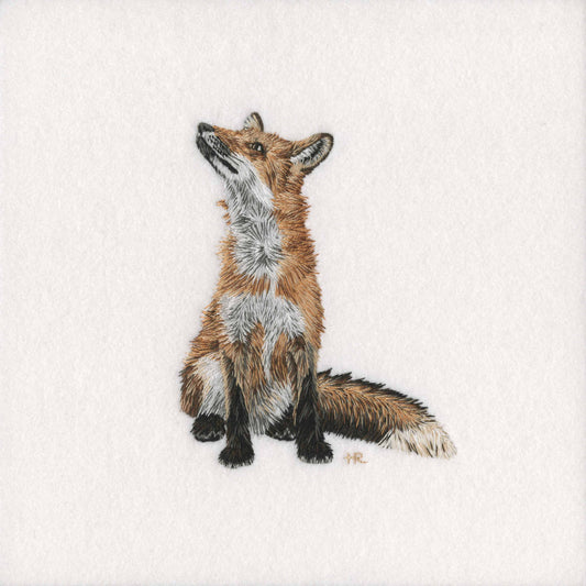 Fox Prints and Cards