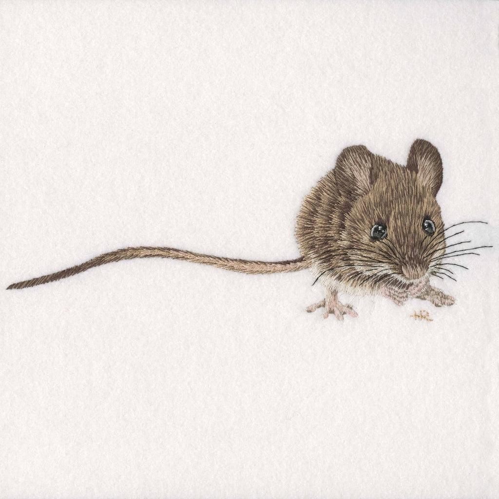 Wood Mouse Prints and Cards
