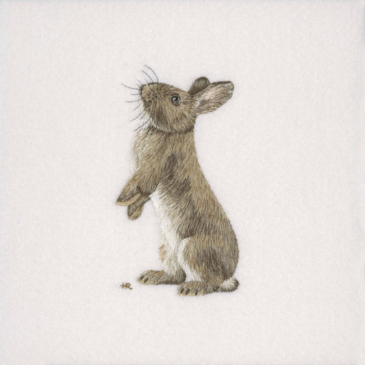 Rabbit Prints and Cards