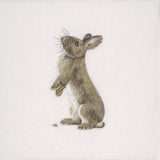 Rabbit Prints and Cards