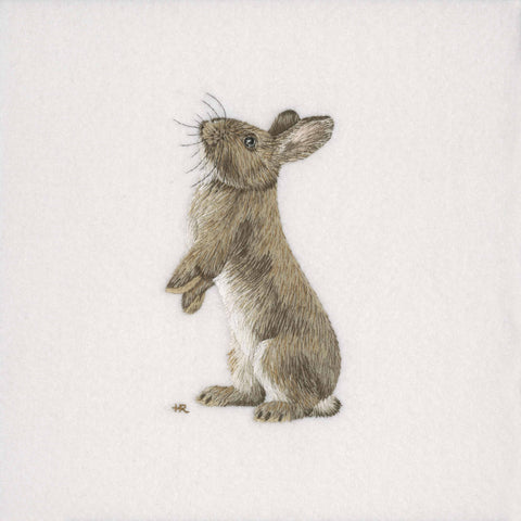 Rabbit Prints and Cards