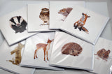 Rabbit Prints and Cards