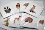 Wood Mouse Prints and Cards