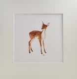 Fallow Deer Prints and Cards