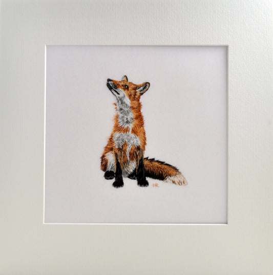 Fox Prints and Cards