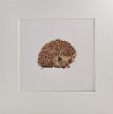 Hedgehog Prints and Cards
