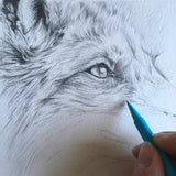 Fox Pencil Sketch