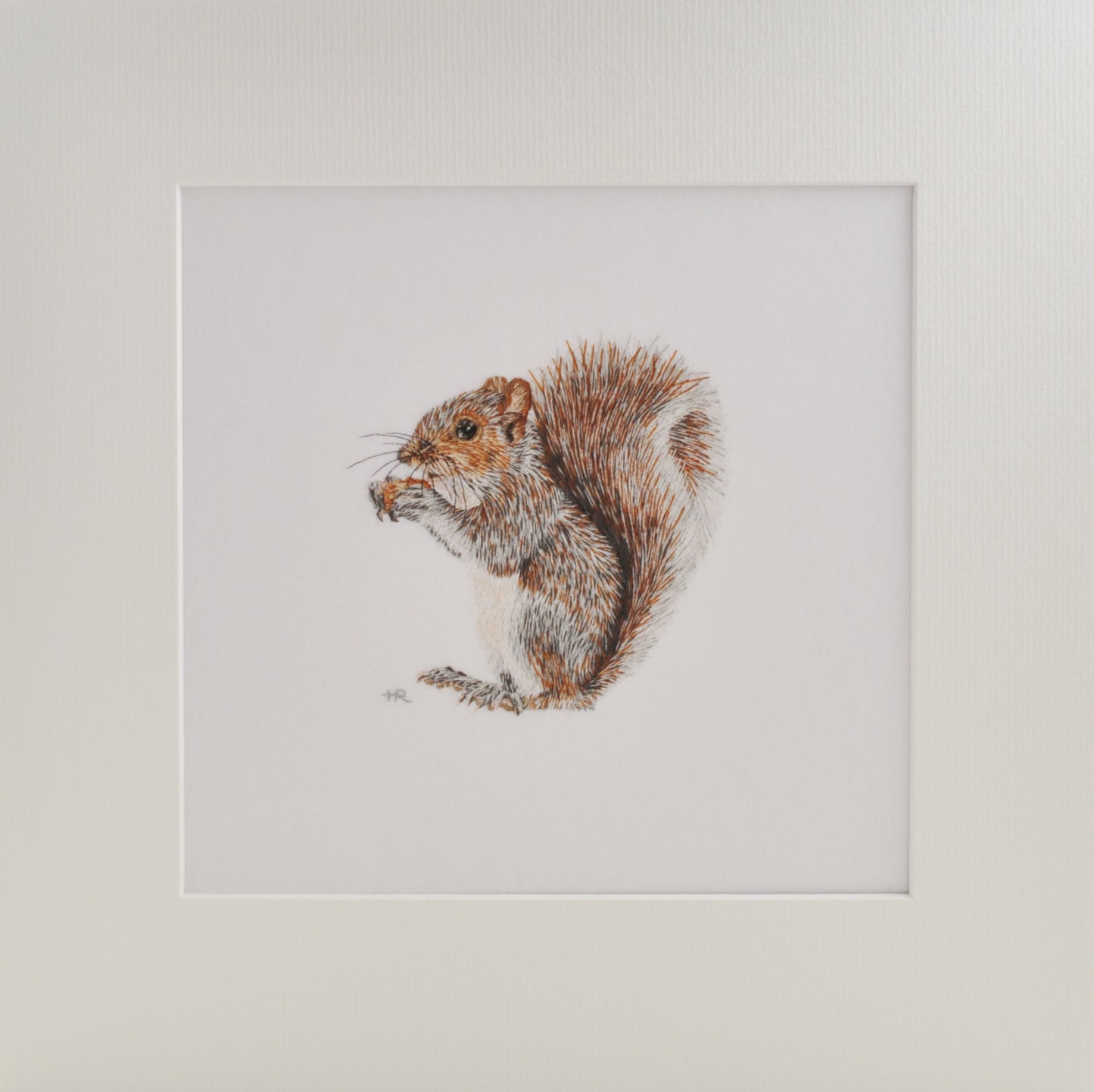 Grey Squirrel Prints and Cards